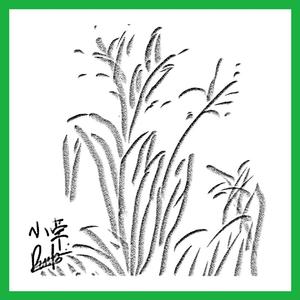 AA级国产一级毛片
