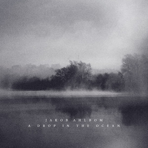 AA级国产一级毛片
