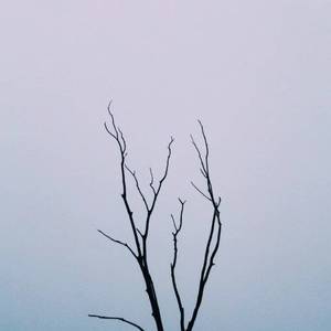 AA级国产一级毛片
