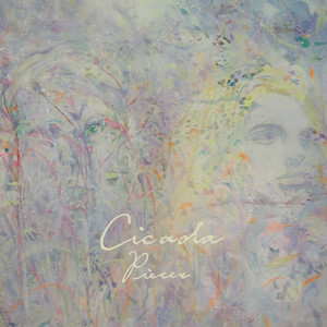 AA级国产一级毛片
